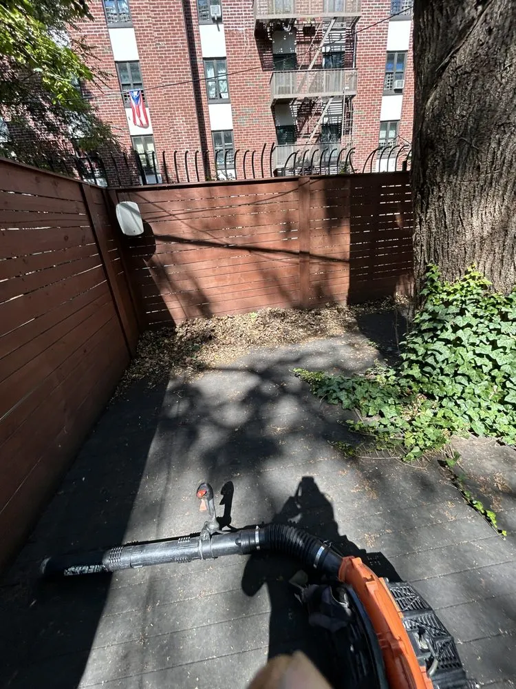 Reliable lawn care service with custom design across New York, NY - East Landscaping