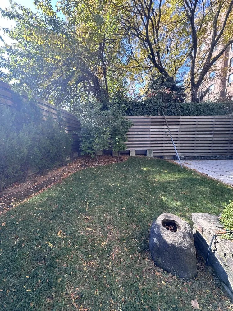 Expert yard cleanup service in New York, NY by East Landscaping