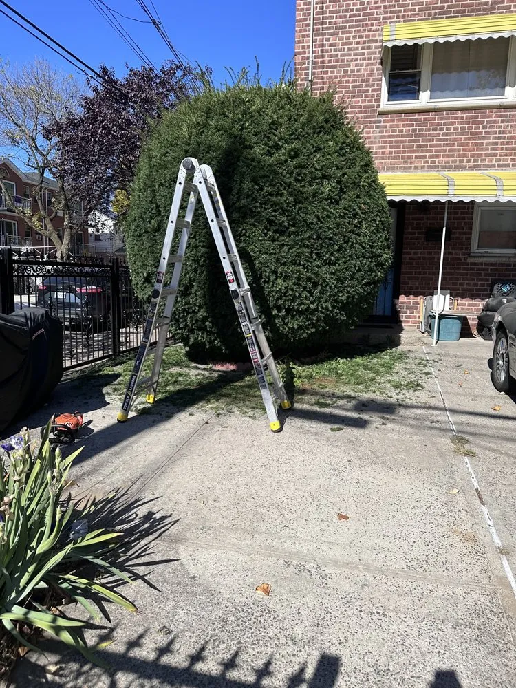 Affordable landscape design with custom design across New York, NY - East Landscaping