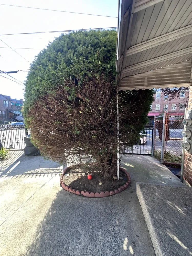 Trusted outdoor landscaping in New York, NY - East Landscaping