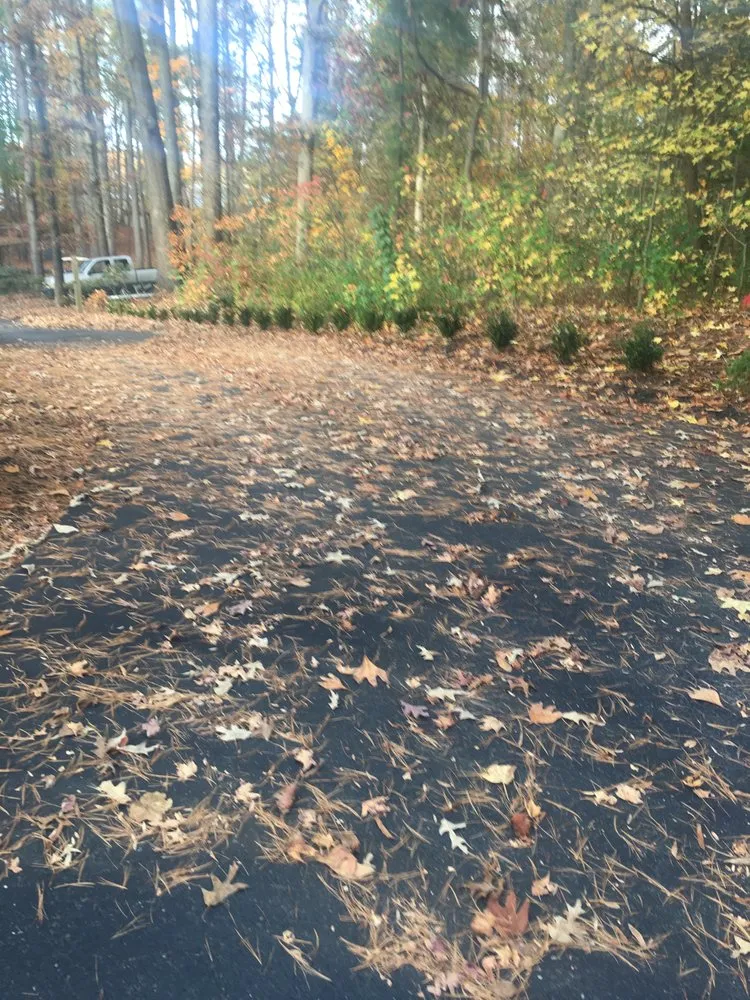 Local yard cleanup service for residential properties in Locust Grove, VA by East Lawn & Landscaping Solutions