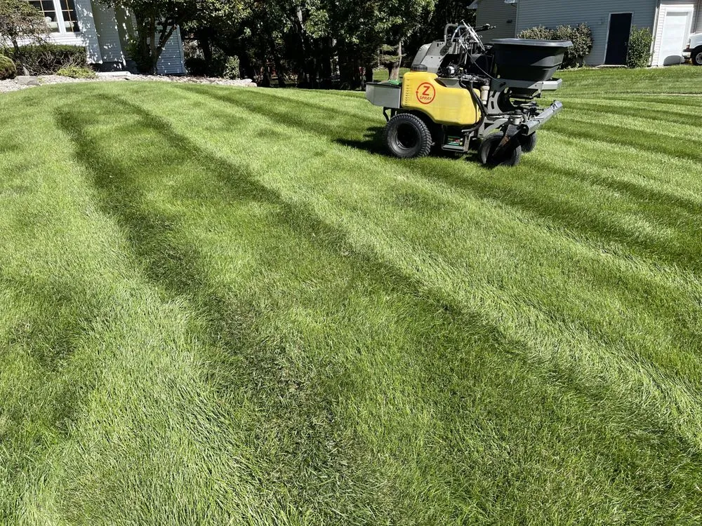 Reliable yard maintenance in East Leroy, MI by East Leroy Lawn Pros