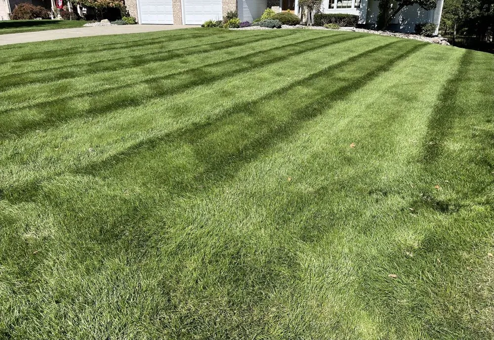 Top-rated residential landscaping in East Leroy, MI by East Leroy Lawn Pros