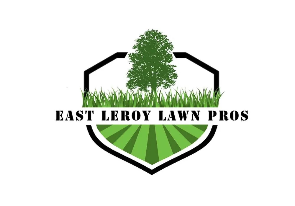 Affordable yard cleanup service with custom design across East Leroy, MI - East Leroy Lawn Pros