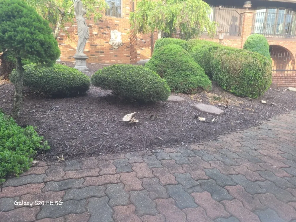 Professional landscape installation near you in Yukon, PA by East Pittsburgh Handyman