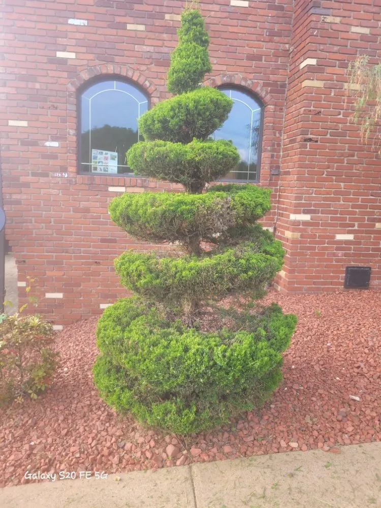 Local yard maintenance in Yukon, PA by East Pittsburgh Handyman