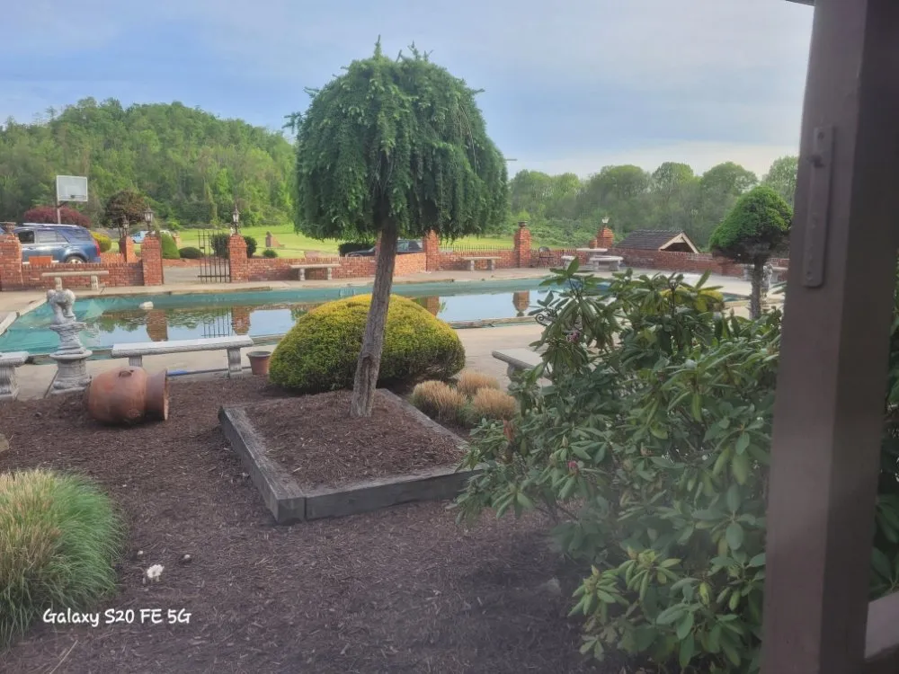 Top-rated yard cleanup service in Yukon, PA - East Pittsburgh Handyman