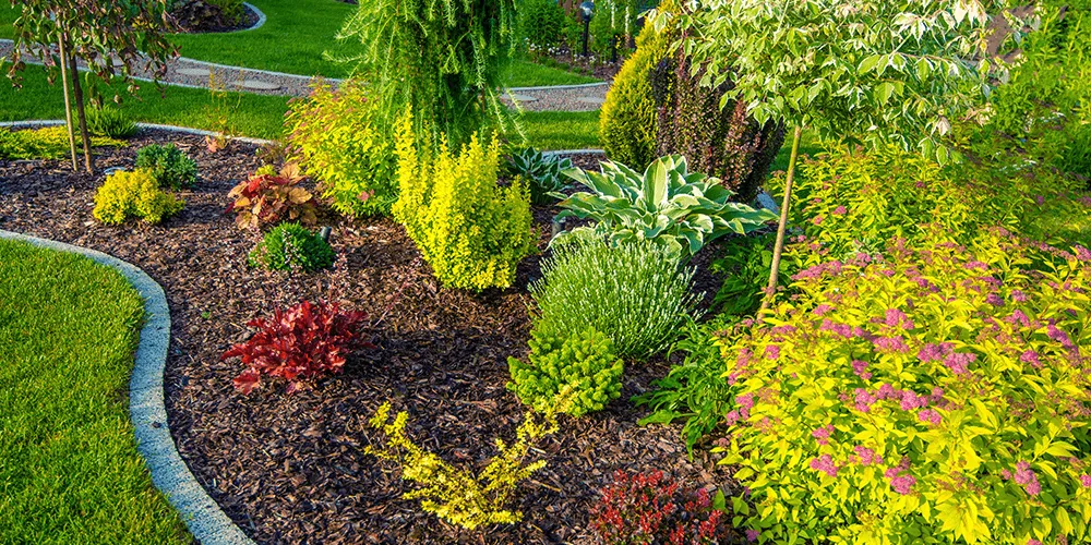 Reliable landscape installation in Atlanta, GA by East Point Lawn Care