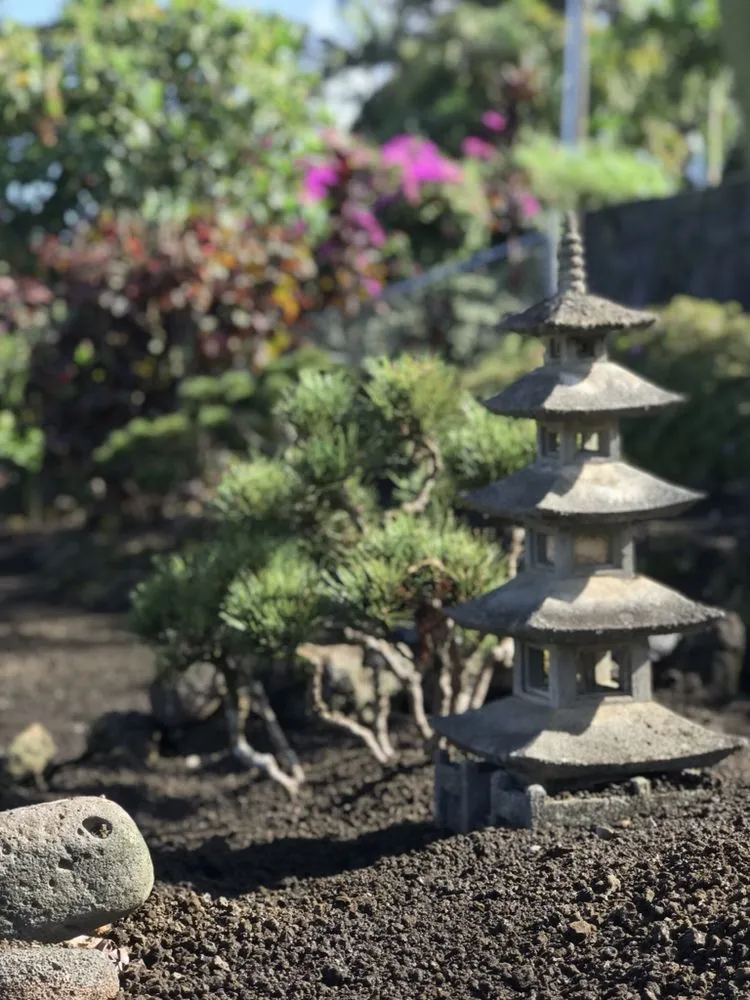 Professional yard maintenance near you in Mountain View, HI by East Rift Hawaii