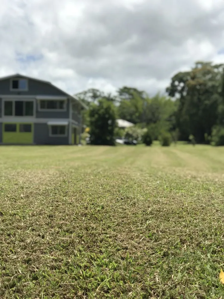 Custom outdoor landscaping experts serving Mountain View, HI - East Rift Hawaii