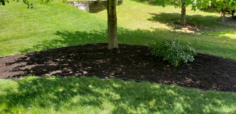 Expert residential landscaping for outdoor upgrades across Rochester, MN - East Side Lawn and Snow