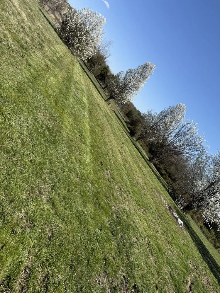 Affordable outdoor landscaping for residential properties across Mohawk, TN - East Side Property & Maintenance