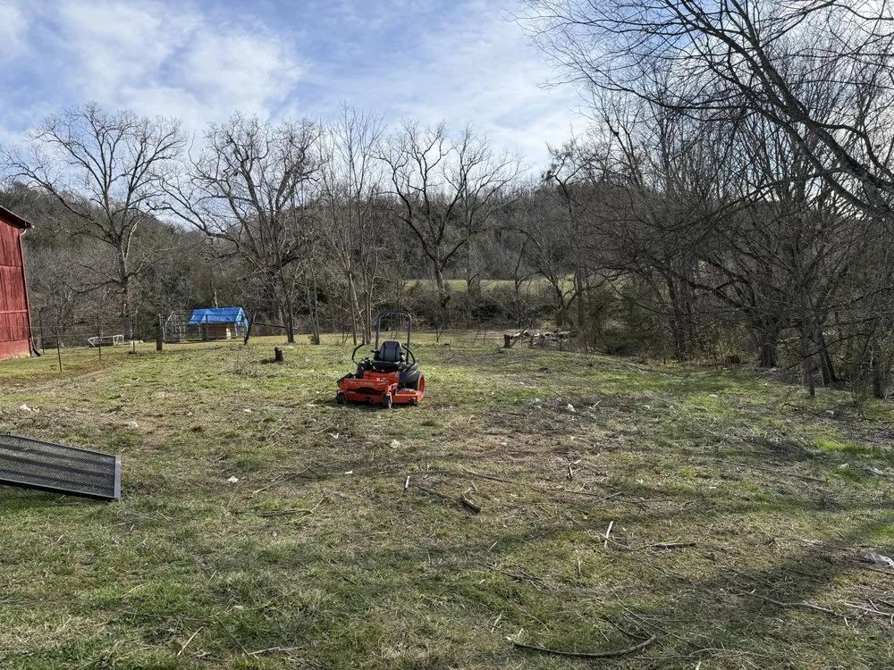 Expert landscaping services in Mohawk, TN by East Side Property & Maintenance