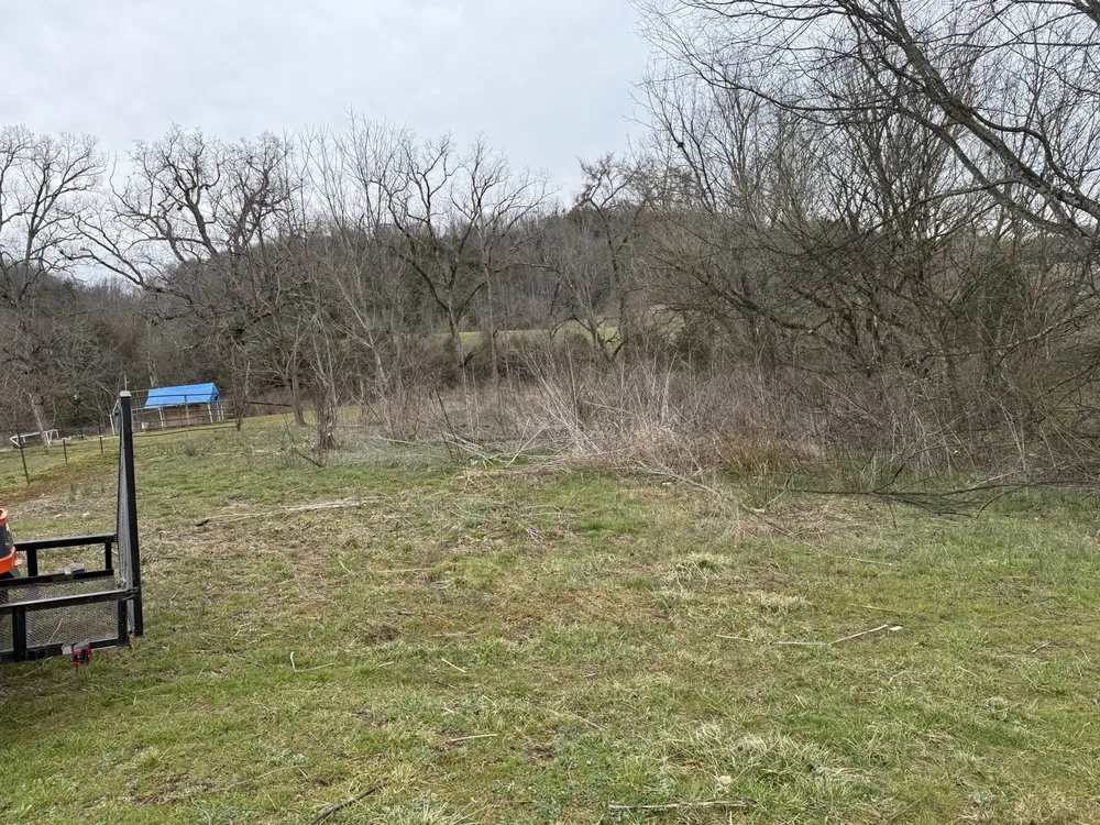 Expert yard cleanup service in Mohawk, TN by East Side Property & Maintenance