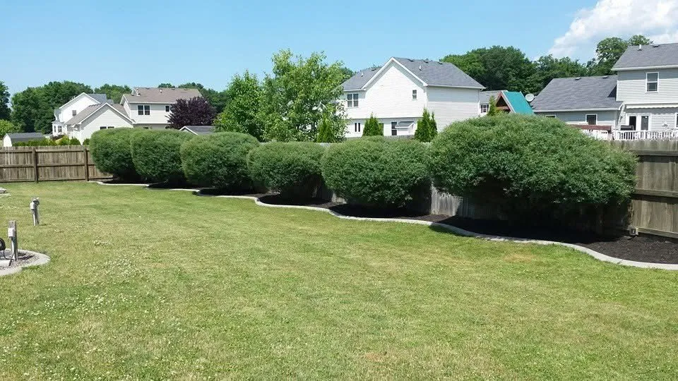 Professional residential landscaping for year-round maintenance across Webster, NY - East Side Property Solutions