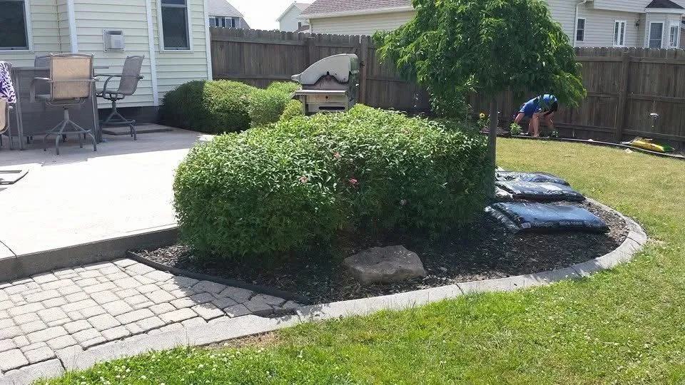 Affordable yard cleanup service in Webster, NY by East Side Property Solutions