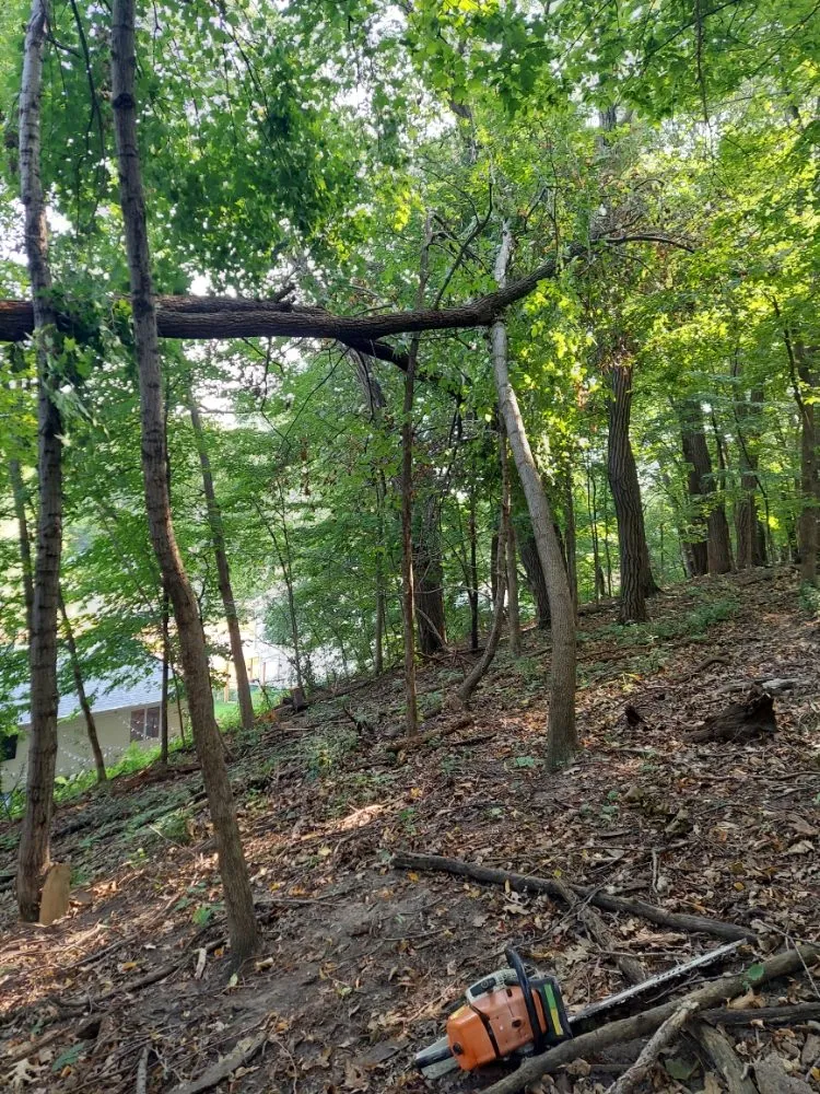 Top-rated residential landscaping experts serving Rochester, MN - East Side Services