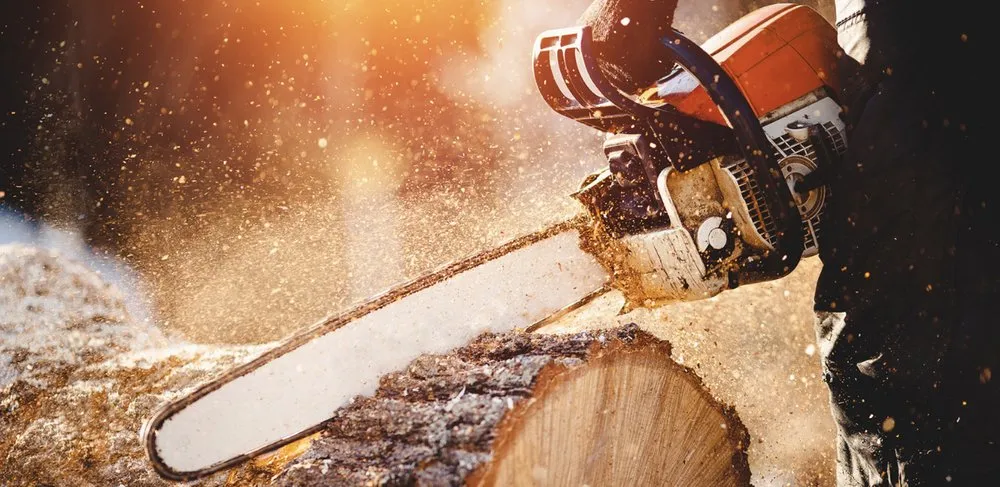 Top-rated garden landscaping in Maryville, TN - East Tennessee Greenworks