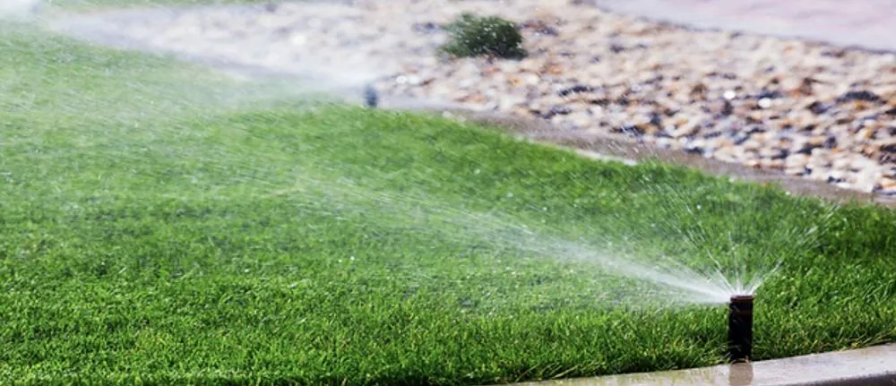 Expert yard cleanup service in Maryville, TN by East Tennessee Greenworks