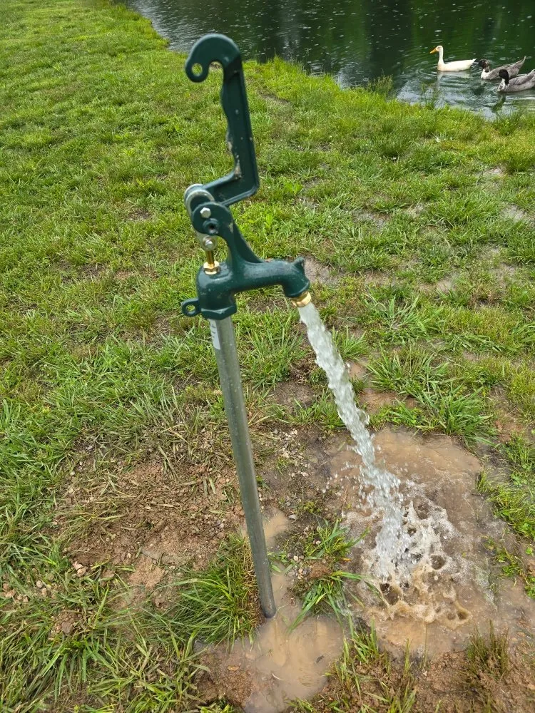 Reliable yard cleanup service for year-round maintenance in Loudon, TN by East Tennessee Iirrigation and Landscape