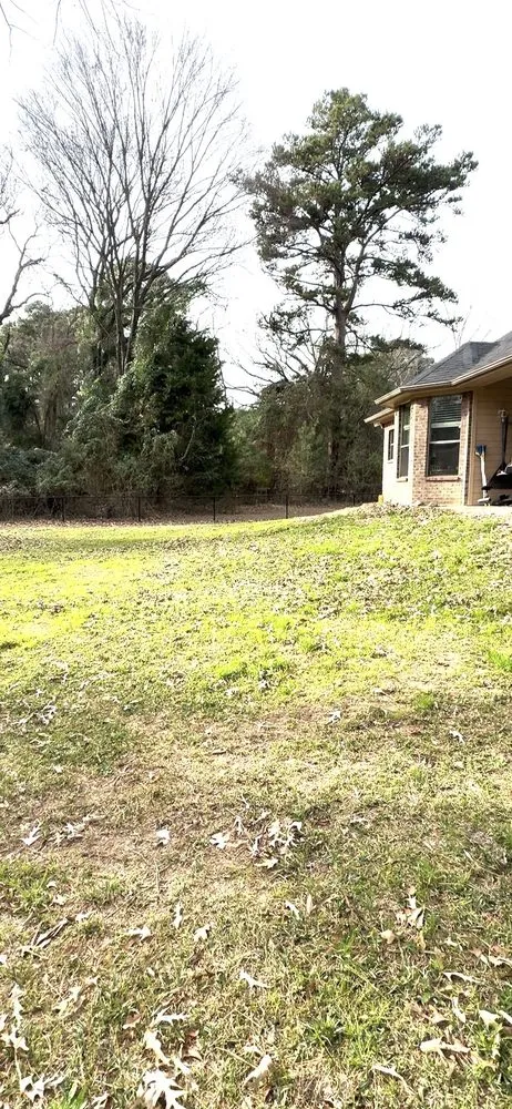 Local landscape design for year-round maintenance in Hawkins, TX by East Texas Earth