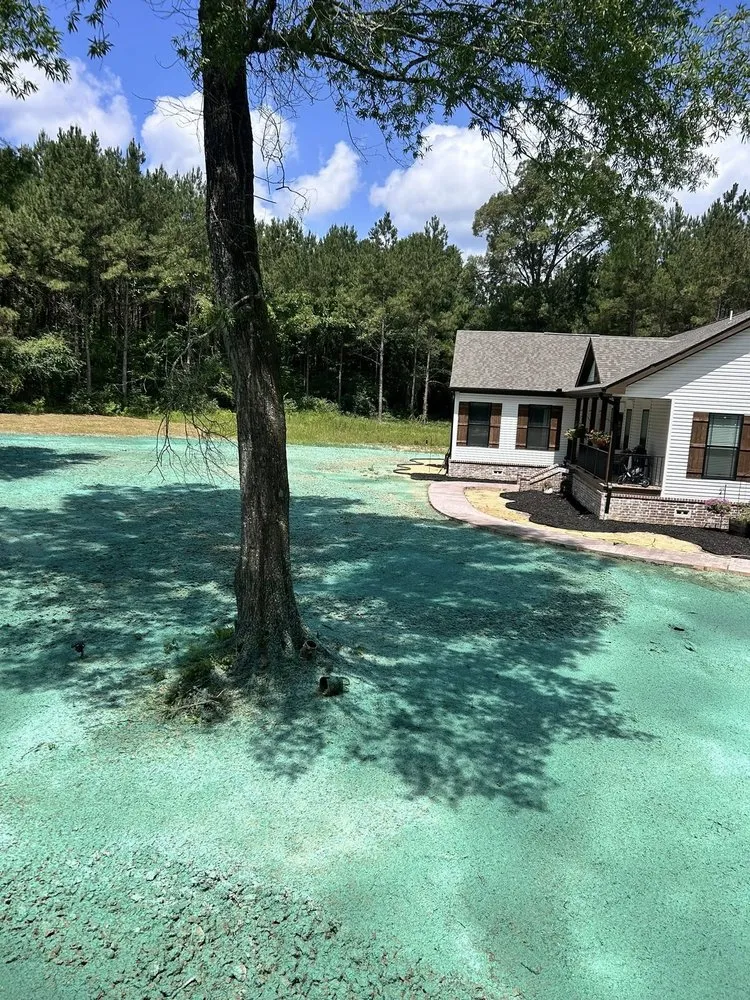 Trusted landscaping services experts serving Nacogdoches, TX - East Texas Hydromulching