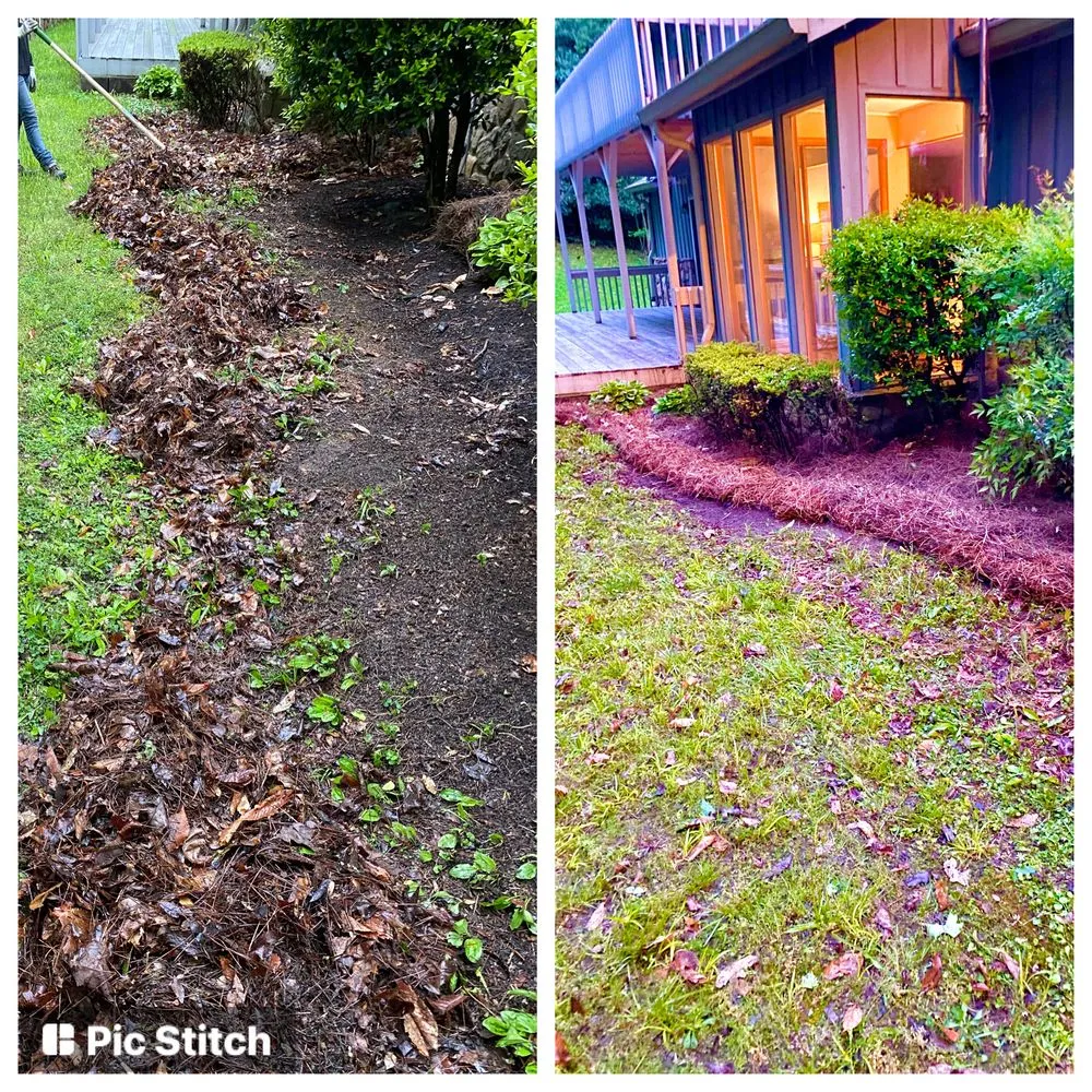 Local residential landscaping in Bybee, TN by East TN Turf Pros