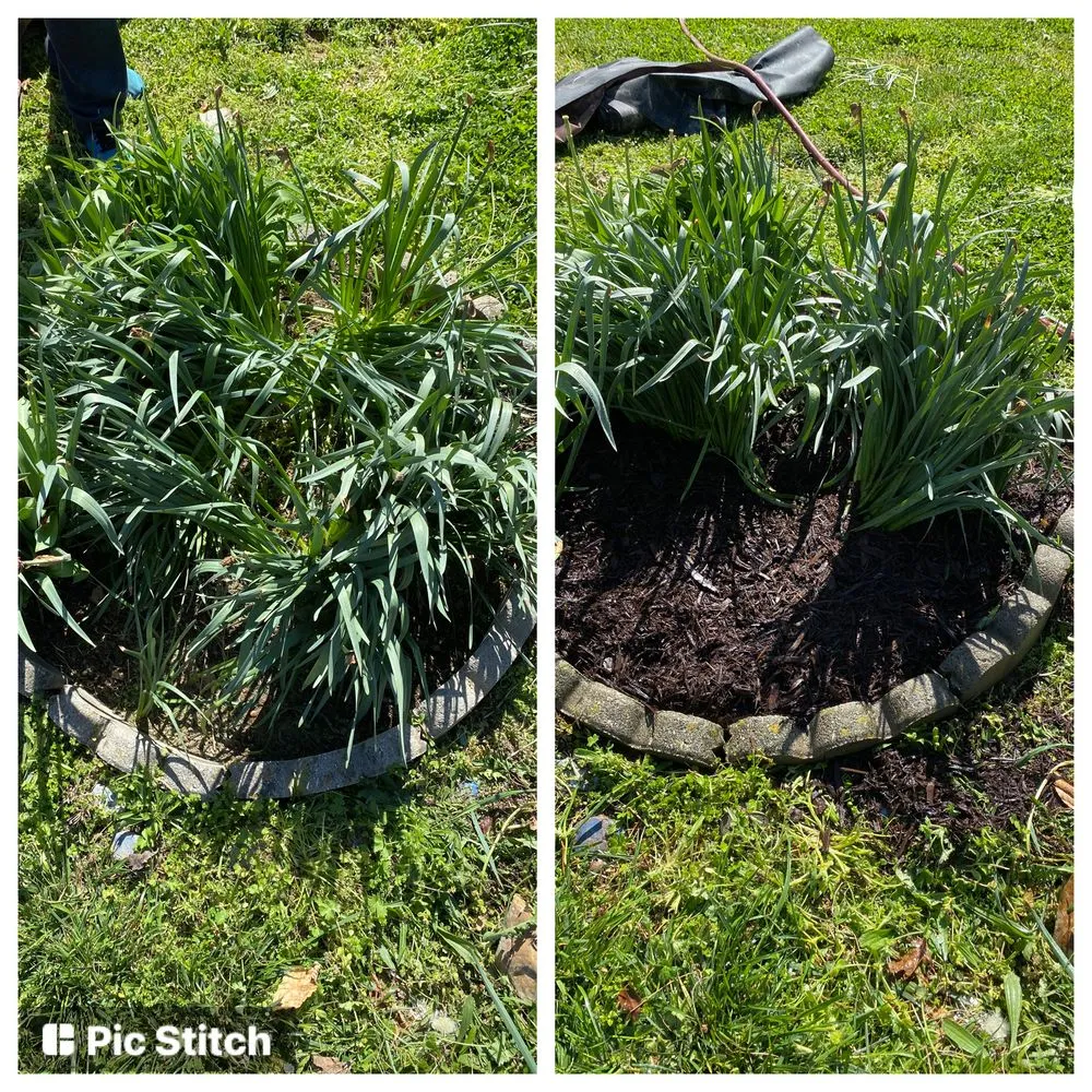 Custom lawn care service for year-round maintenance across Bybee, TN - East TN Turf Pros