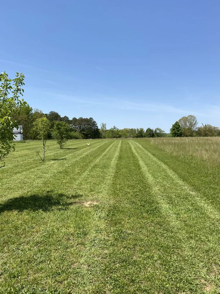Top-rated yard cleanup service in Bybee, TN - East TN Turf Pros