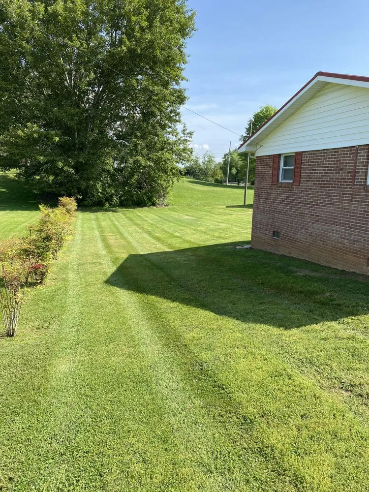 Top-rated yard maintenance near you in Bybee, TN by East TN Turf Pros
