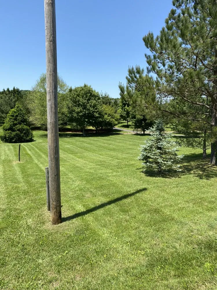 Local yard maintenance for beautiful yards in Bybee, TN by East TN Turf Pros