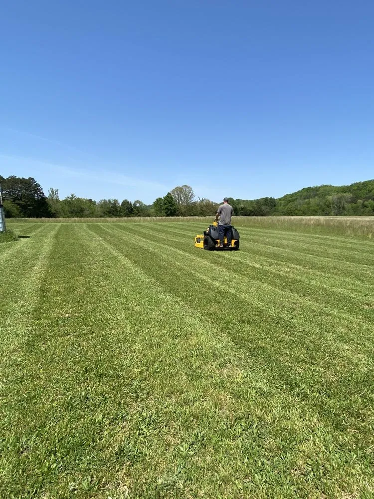 Reliable yard cleanup service in Bybee, TN by East TN Turf Pros