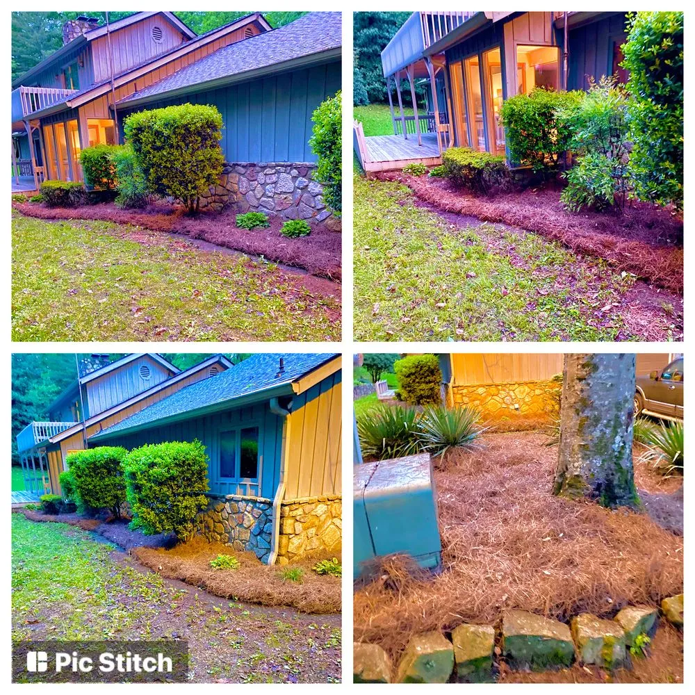 Custom landscape installation in Bybee, TN - East TN Turf Pros