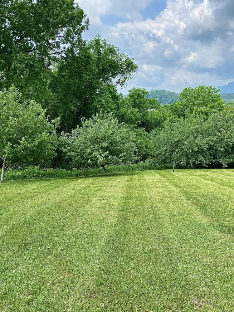Expert outdoor landscaping in Bybee, TN - East TN Turf Pros