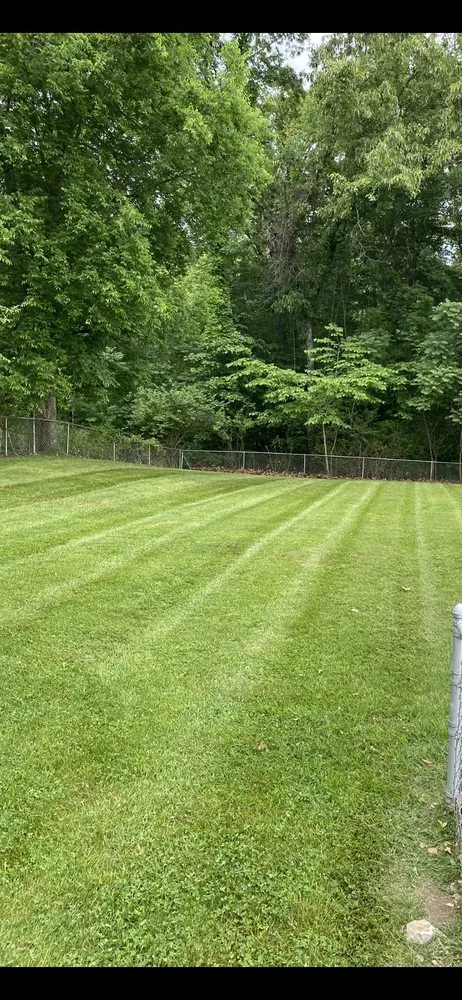 Trusted landscape design for homes in Bybee, TN by East TN Turf Pros