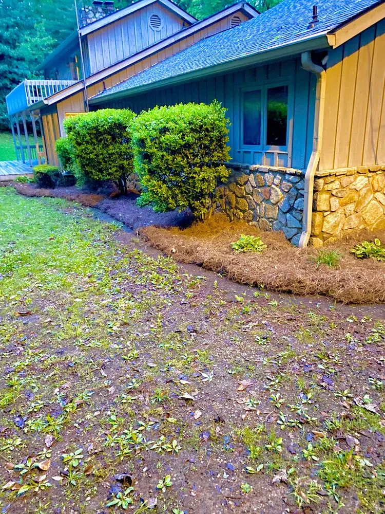 Trusted yard cleanup service near you in Bybee, TN by East TN Turf Pros