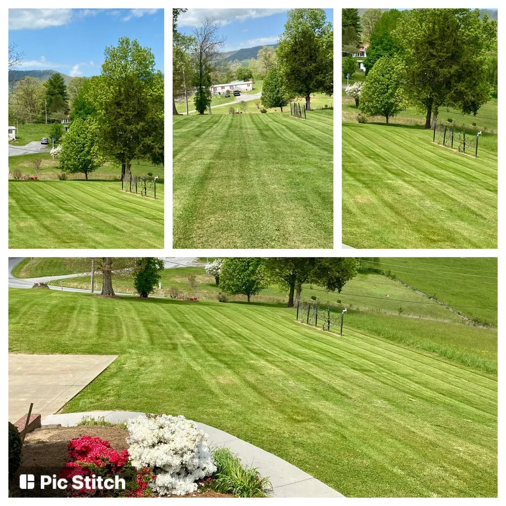 Top-rated residential landscaping in Bybee, TN - East TN Turf Pros