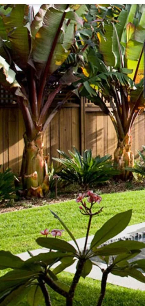Affordable outdoor landscaping in Corpus Christi, TX - East to West Landscaping Services