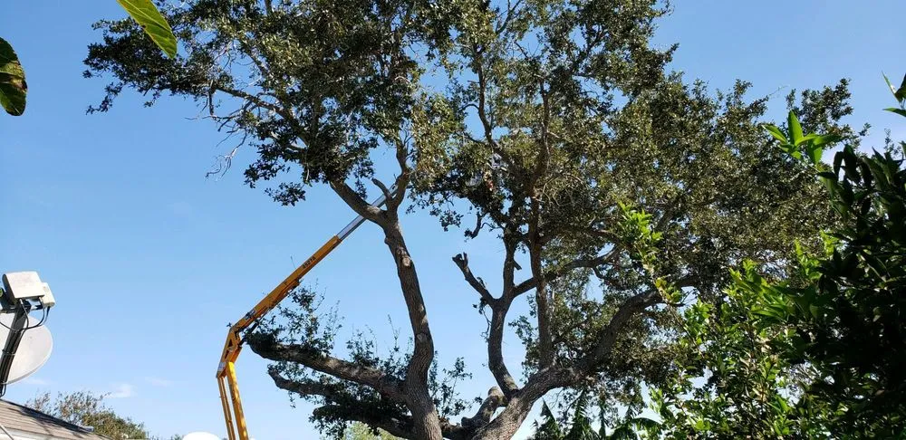 Local lawn care service for beautiful yards across Corpus Christi, TX - East to West Landscaping Services