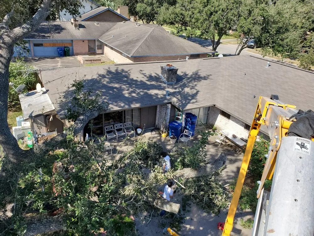 Reliable lawn care service near you across Corpus Christi, TX - East to West Landscaping Services