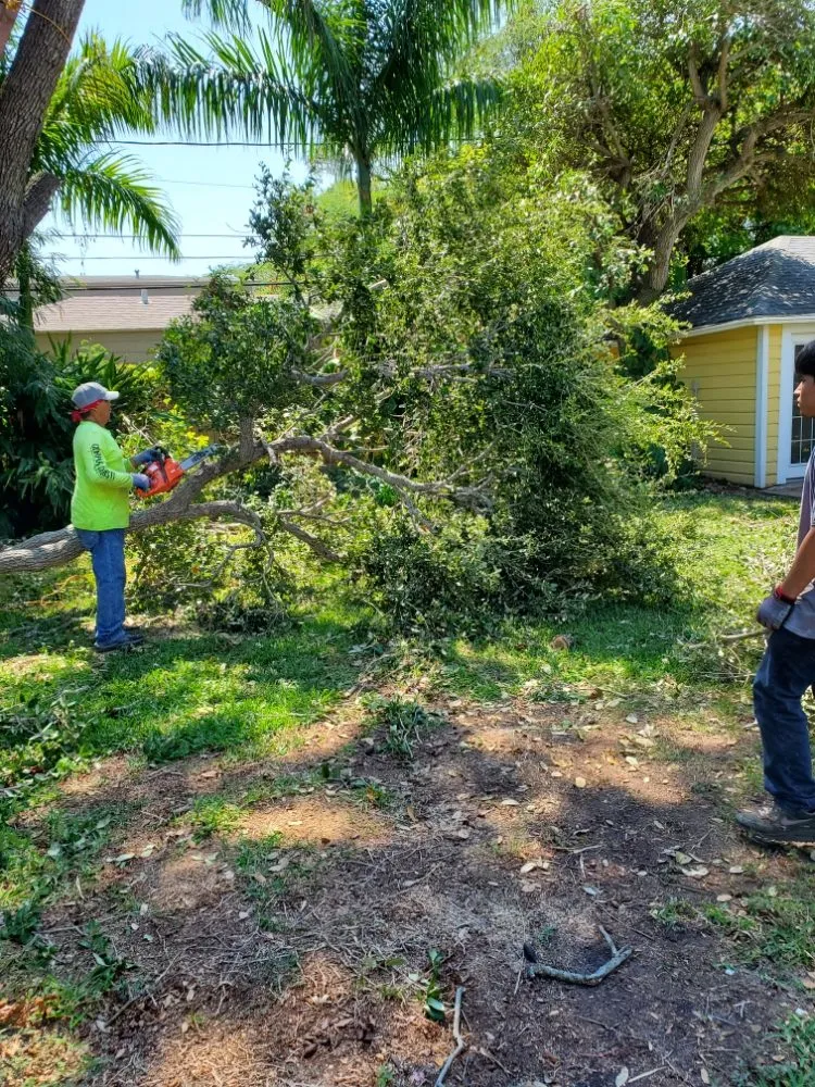 Affordable yard maintenance in Corpus Christi, TX by East to West Landscaping Services