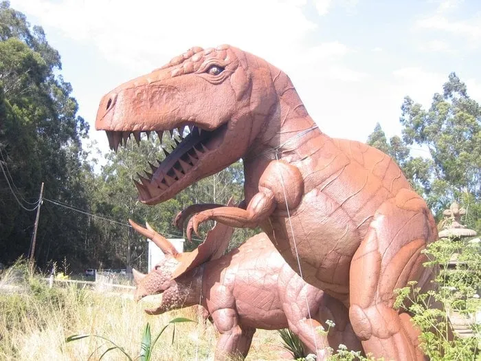 Custom outdoor landscaping in Corpus Christi, TX by East to West Landscaping Services