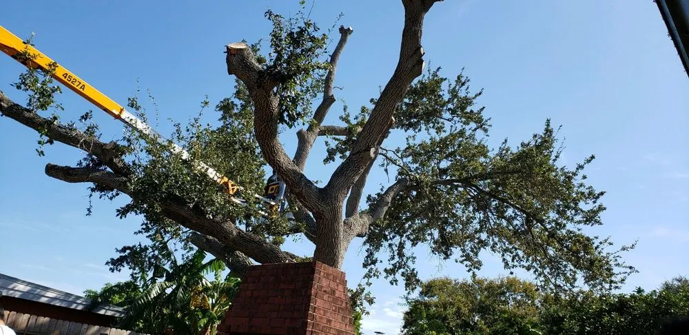 Reliable yard maintenance for outdoor upgrades in Corpus Christi, TX by East to West Landscaping Services