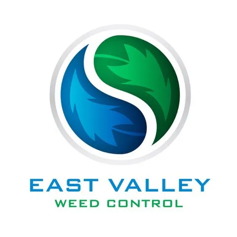 Reliable yard cleanup service for year-round maintenance in Queen Creek, AZ by East Valley Weed Control