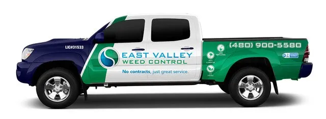 Professional yard cleanup service in Queen Creek, AZ - East Valley Weed Control