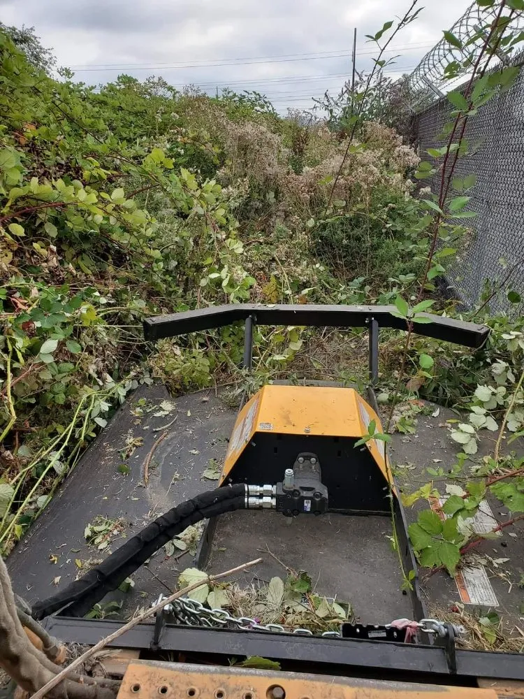 Custom yard cleanup service in South Prairie, WA by Eastbound Custom Concrete,  Eastbound Exc & Landscape