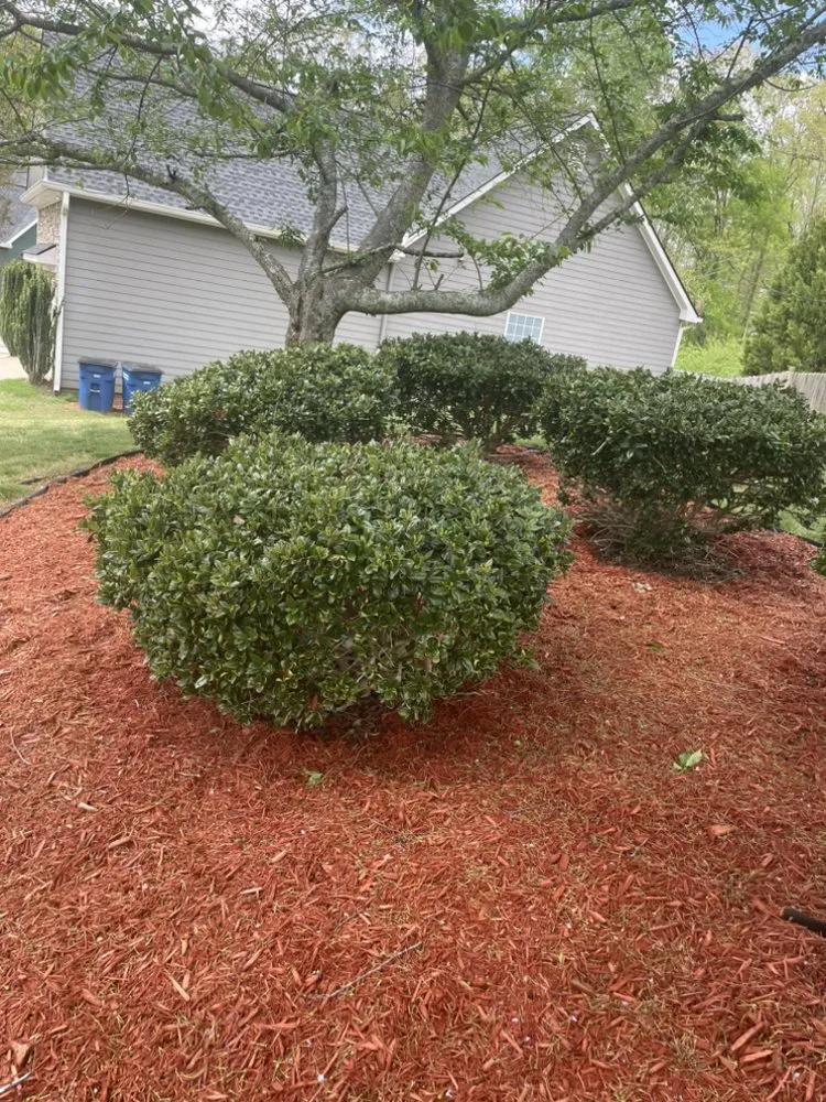 Professional yard maintenance near you in Douglasville, GA by Eastens Lawn Services