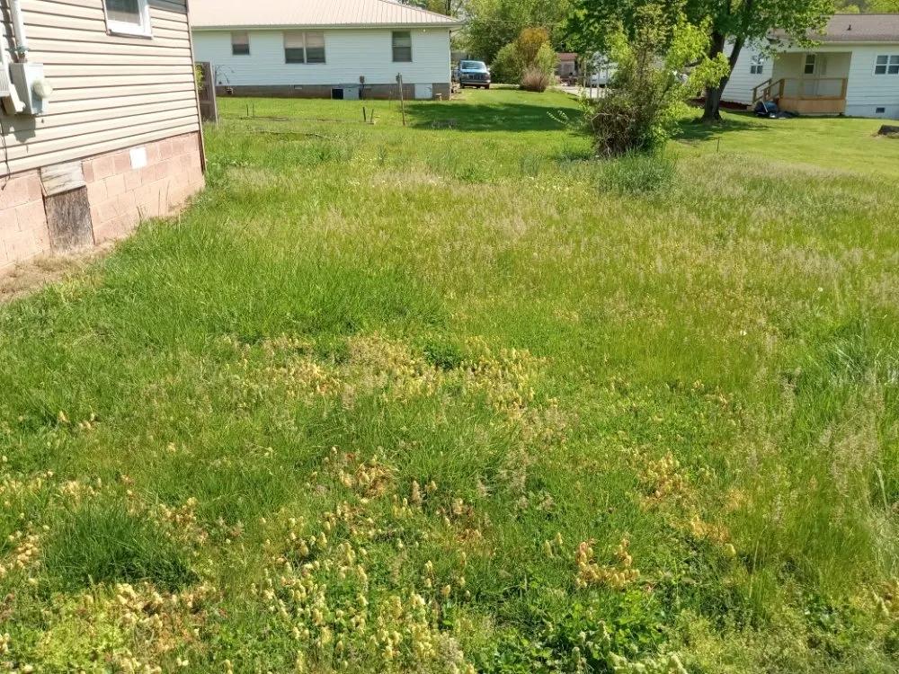 Affordable residential landscaping for beautiful yards in Knoxville, TN by Easterday Emporium