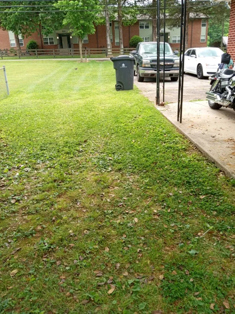 Trusted landscape design for outdoor upgrades in Knoxville, TN by Easterday Emporium