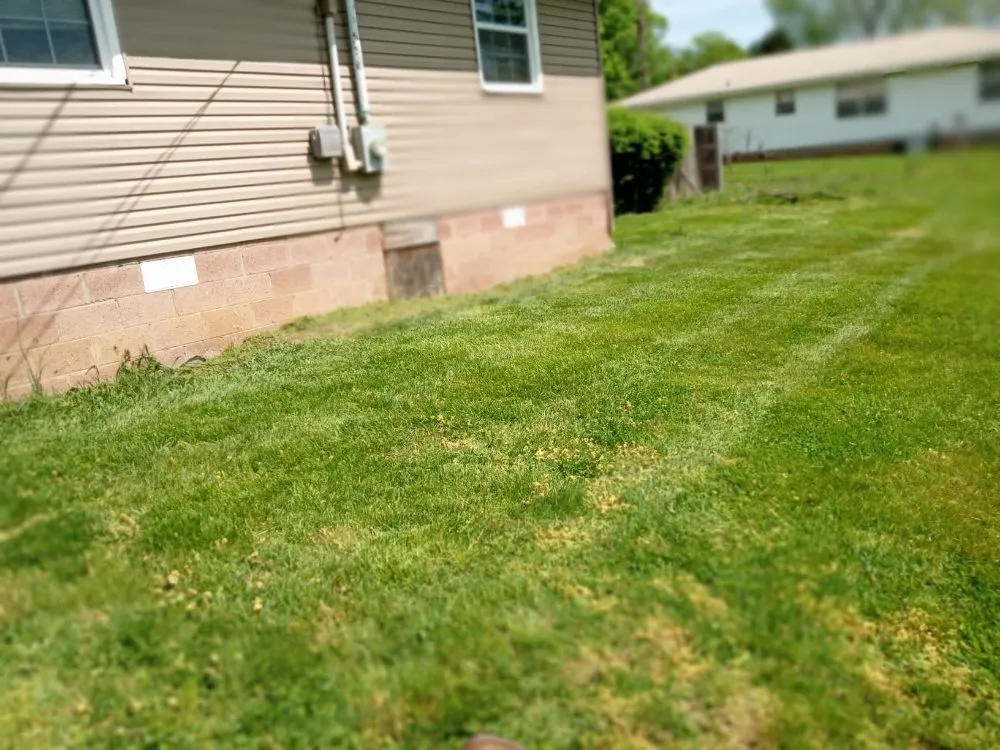 Expert outdoor landscaping for homes across Knoxville, TN - Easterday Emporium